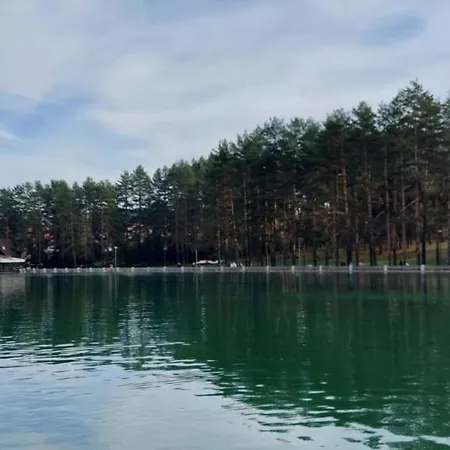 Апартаменты Obradovic-zlatibor Златибор