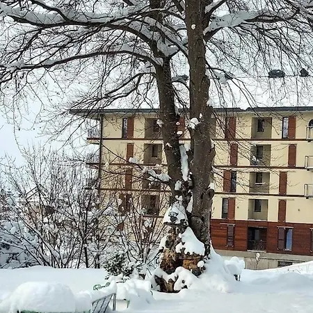 Апартаменты Obradovic-zlatibor