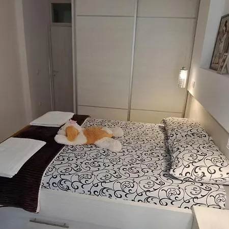 Obradovic-zlatibor *