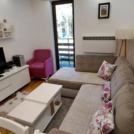 Obradovic-zlatibor *