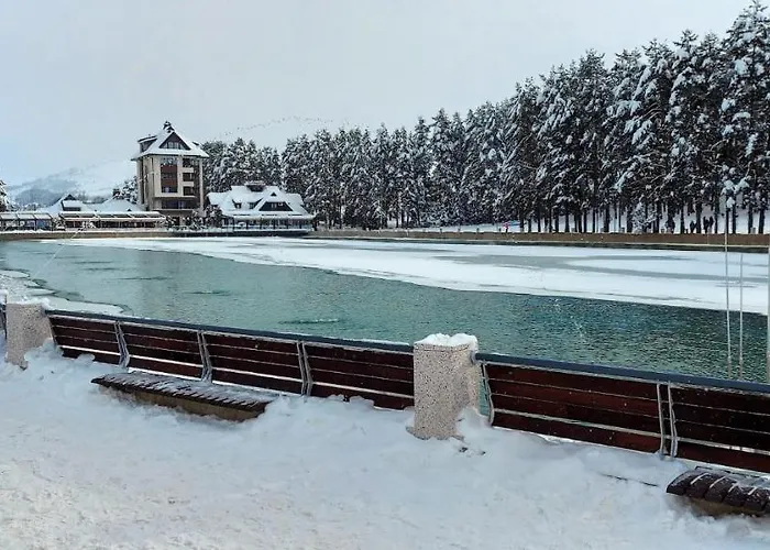 Obradovic-zlatibor 아파트