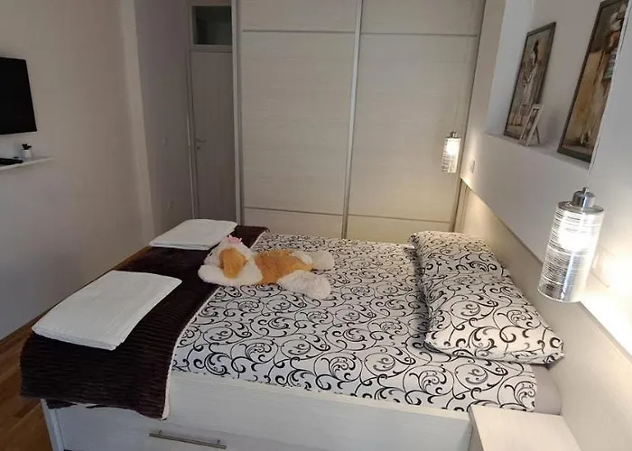 Obradovic-zlatibor *