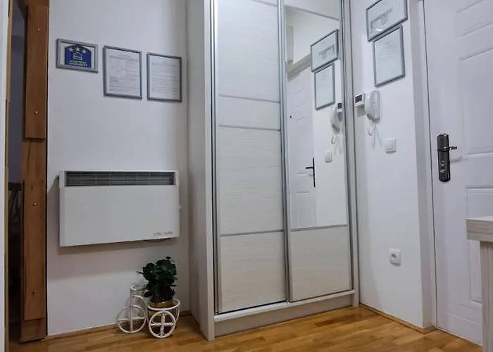 Obradovic-zlatibor * 즐라티보